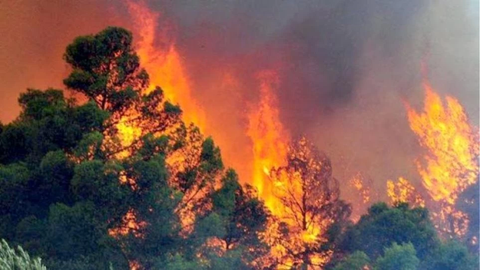 Πυρκαγιά σε δάσος στην Περαχώρα Λουτρακίου